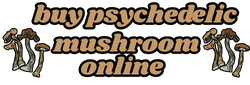 Buy Psychedelic Mushroom Online